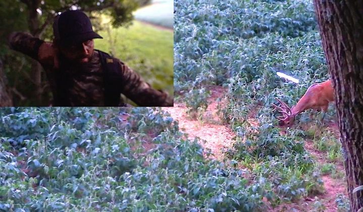 Nourriture naturelle et appâtage; technique pour corriger nos erreurs; par Louis Gagnon