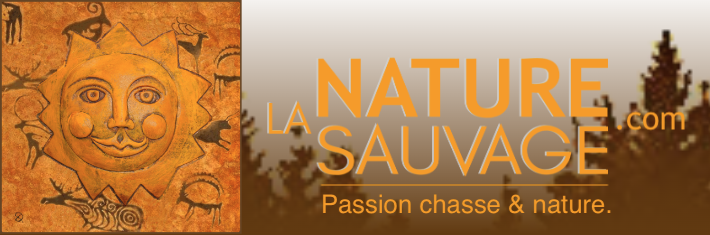 banner_nature.png