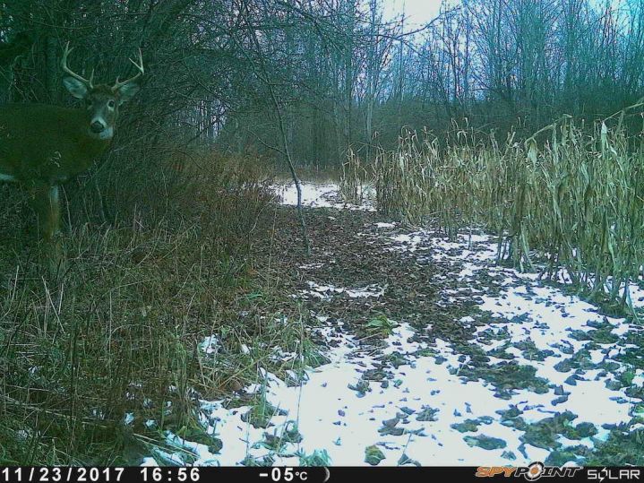 Trois (3) conseils de dernière minute qui peuvent faire la différence. Louis Gagnon