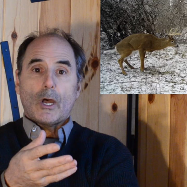 Les résultats préliminaires après l'analyse de près de 10 000 séquences vidéos sur les grattages; Louis Gagnon