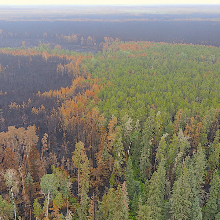 Entrevue de Jean Pascal trudeau et Louis Gagnon sur la gestion des forêts et de la faune